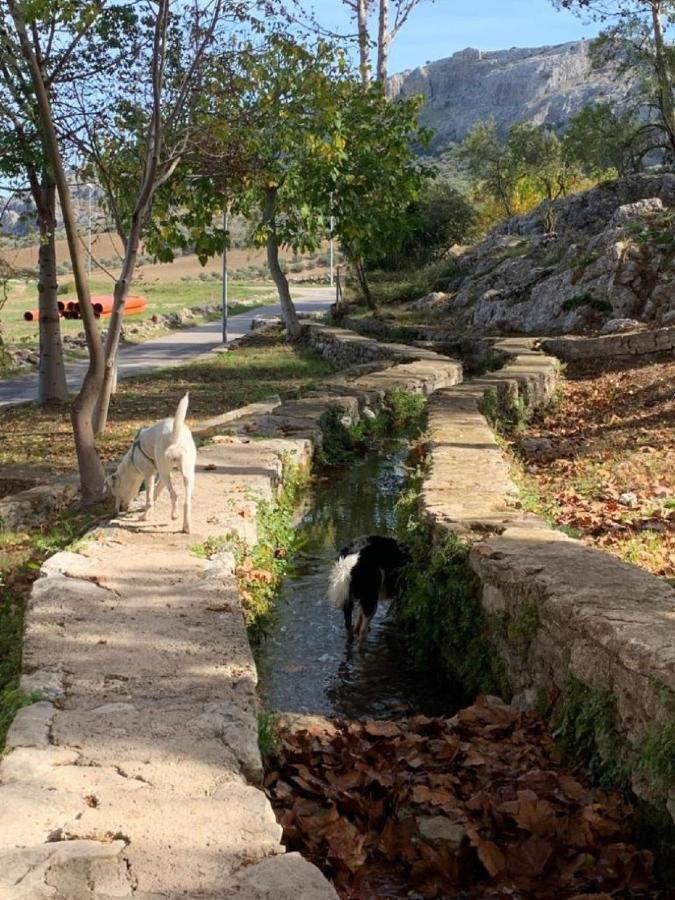 Villa Remedios Cuevas del Becerro Exterior foto