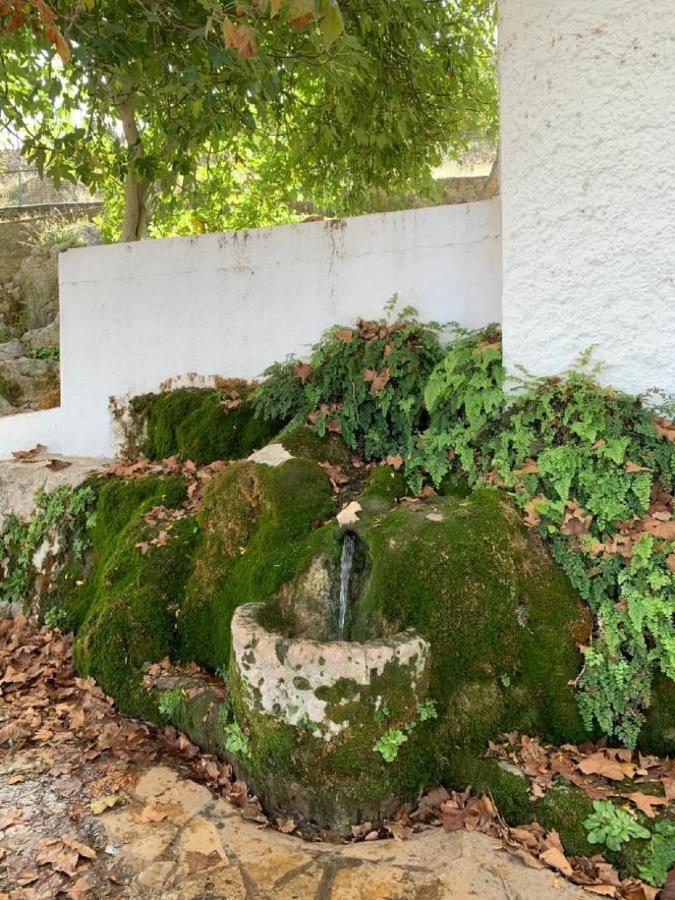 Villa Remedios Cuevas del Becerro Exterior foto